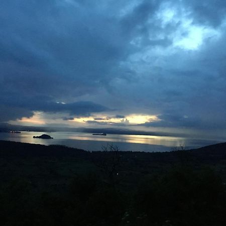 Un Giardino Sul Lago Montefiascone Kültér fotó