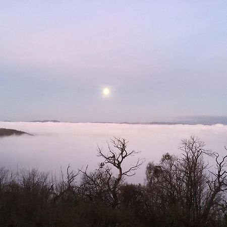Un Giardino Sul Lago Montefiascone Kültér fotó