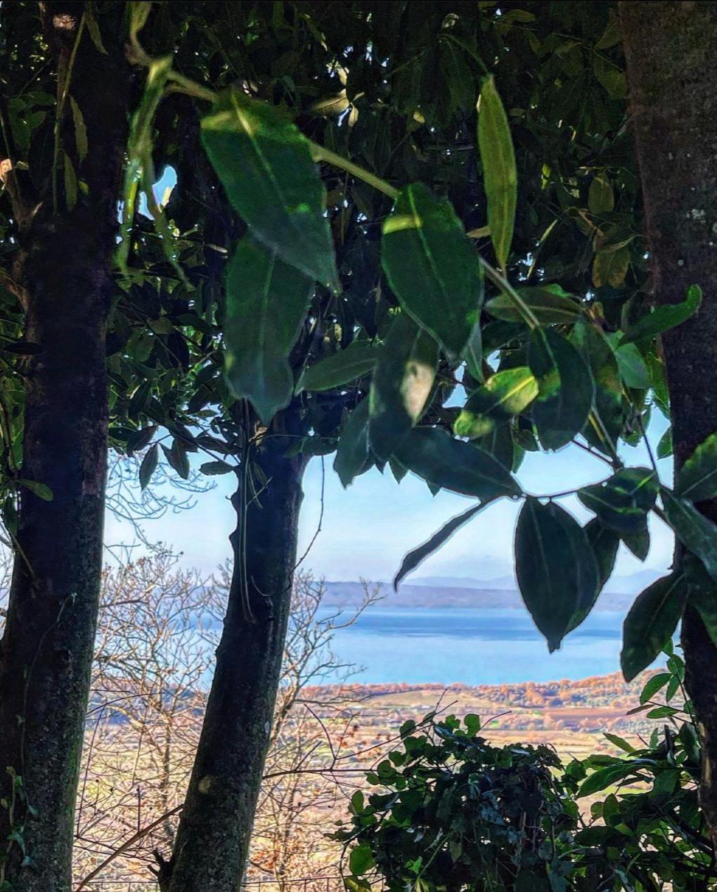 Un Giardino Sul Lago Montefiascone Kültér fotó